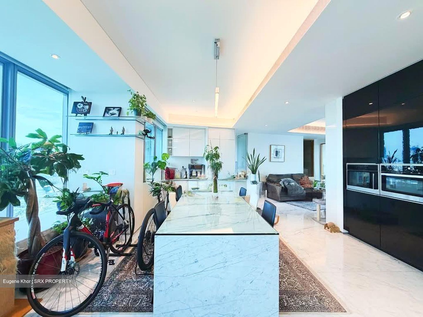 Cairnhill Road (D9), Condominium #563210391